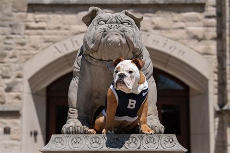 The Journey of Butler University's Mascot: From Puppy to Prideful Symbol